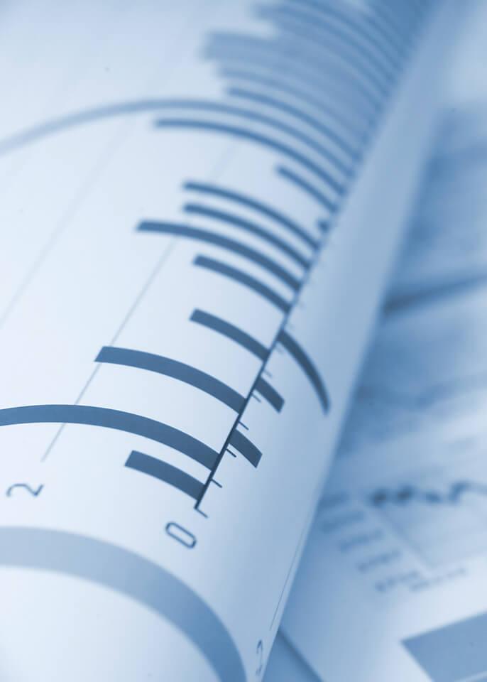 Shareholder structure
