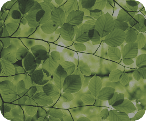 Sustainability report