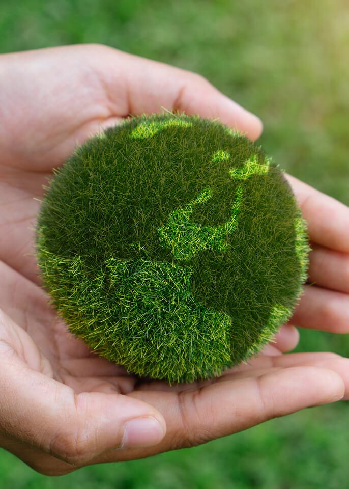 Sustainable Development Goals