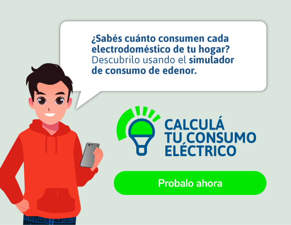 Simulador