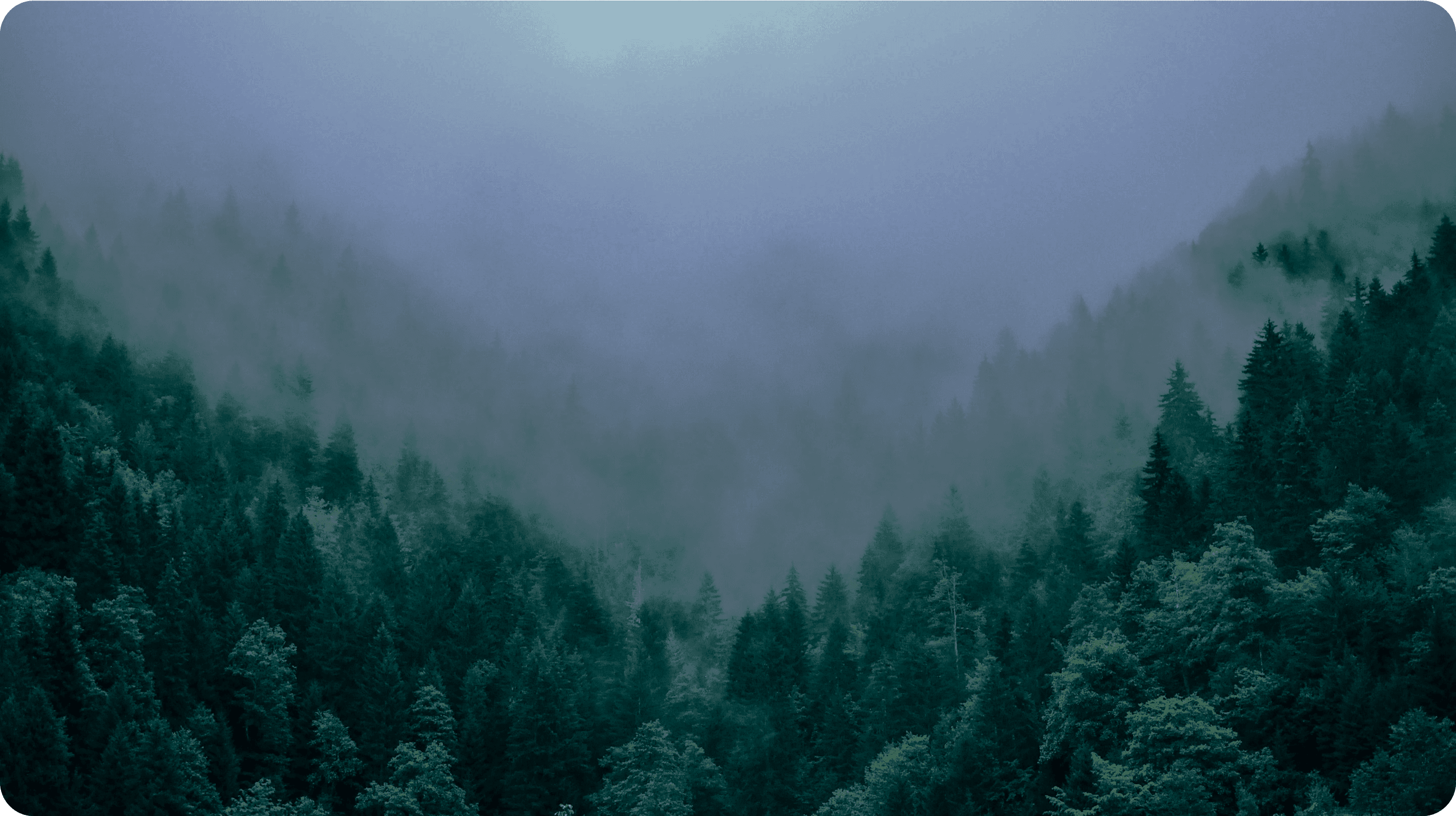 <p>Cuidá la energía.<br />
Sumate al consumo eficiente.</p>